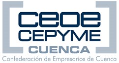 Ceoe Cepyme Cuenca  - Software desarrollado por Pionera